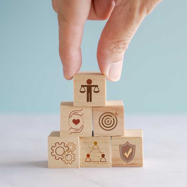 Temsa Compliance Programme